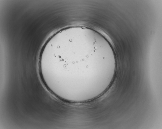 X0000115081093200911241137
