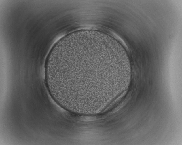 X0000115081095200911241137