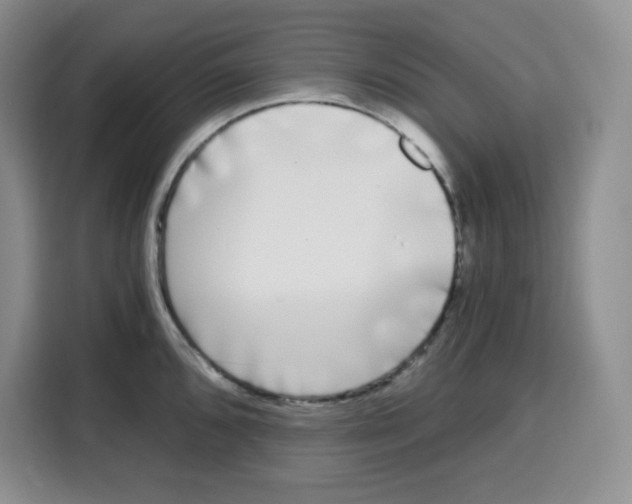 X0000115081096200911241137