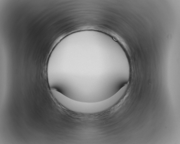 X0000115081097200911241137