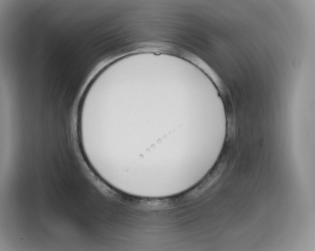 X0000115081099200911241137