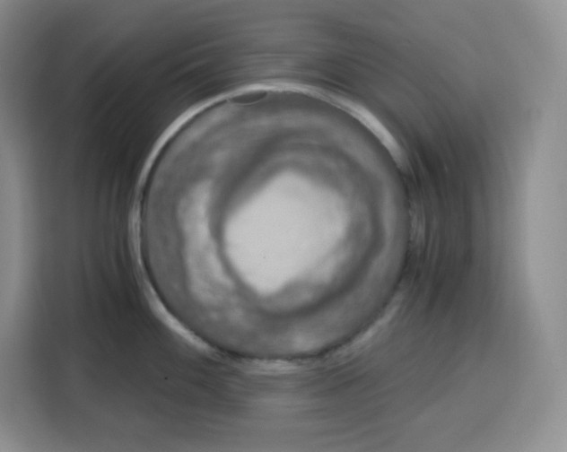 X0000115081100200911241137