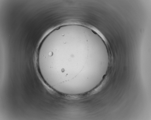 X0000115081101200911241137