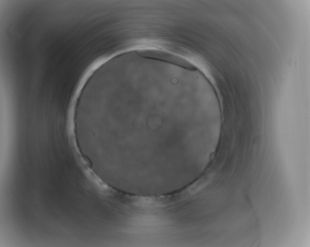 X0000115081104200911241137