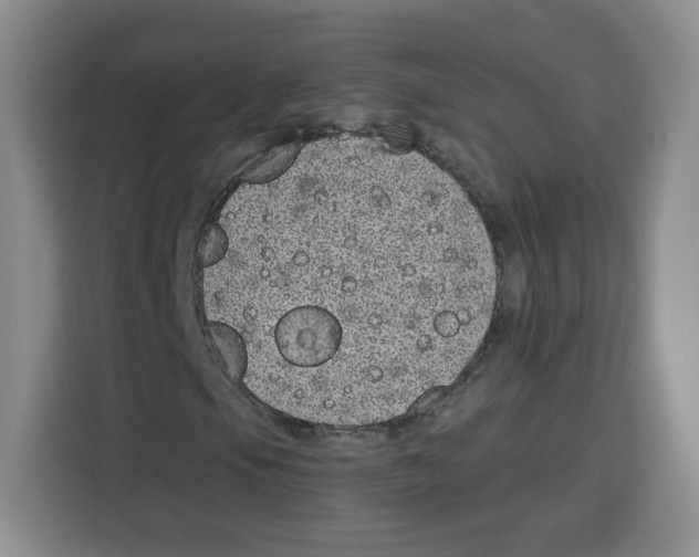 X0000115081105200911241136
