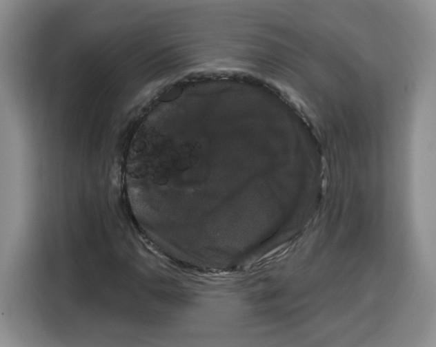 X0000115081110200911241136