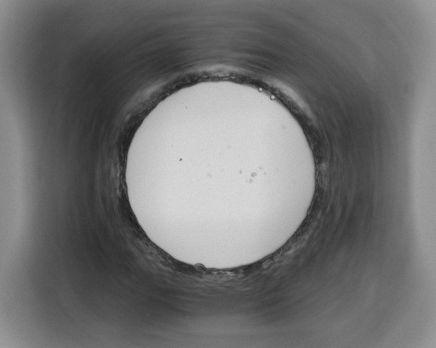 X0000115081111200911241136
