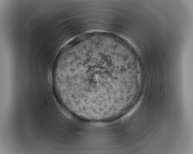 X0000115081113200911241136