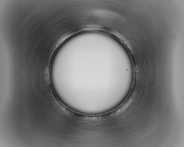 X0000115081121200911241137