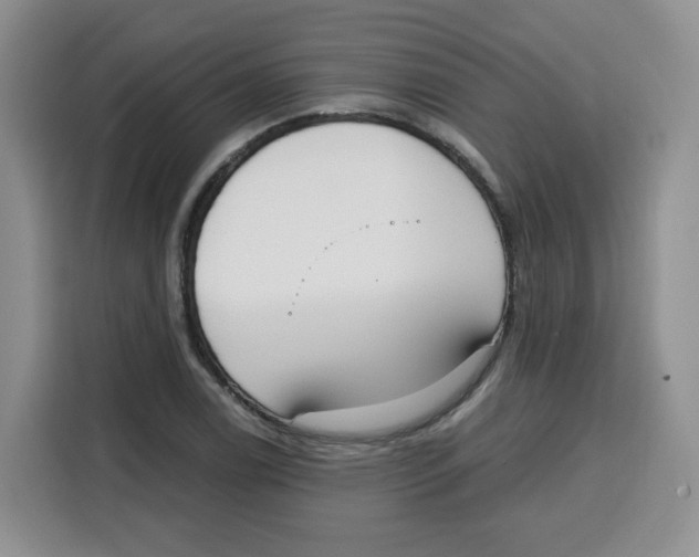 X0000115081122200911241137