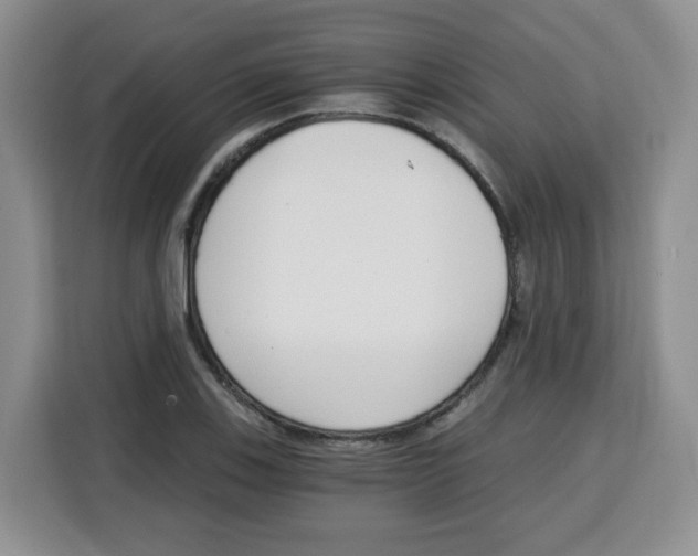 X0000115081123200911241137