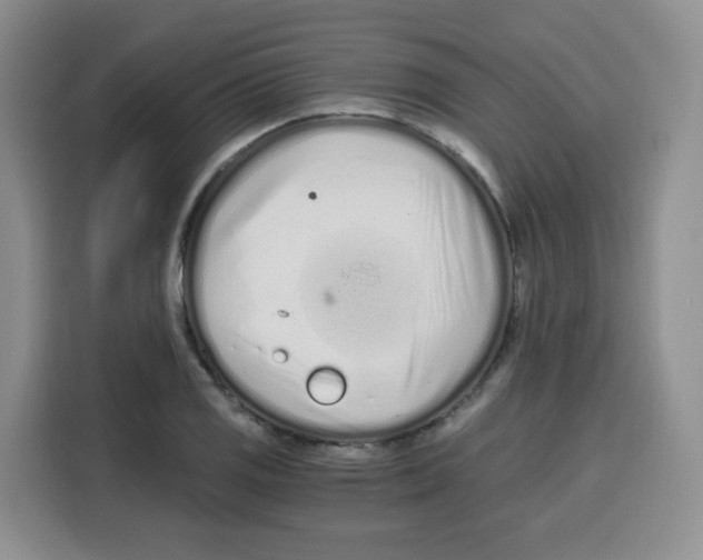 X0000115081125200911241137