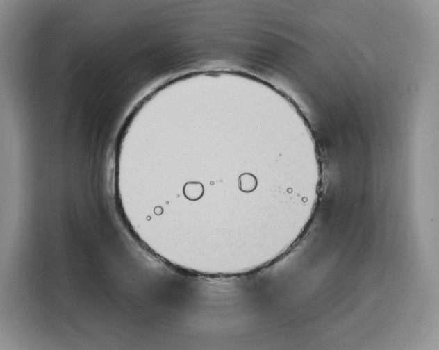 X0000115081126200911241137