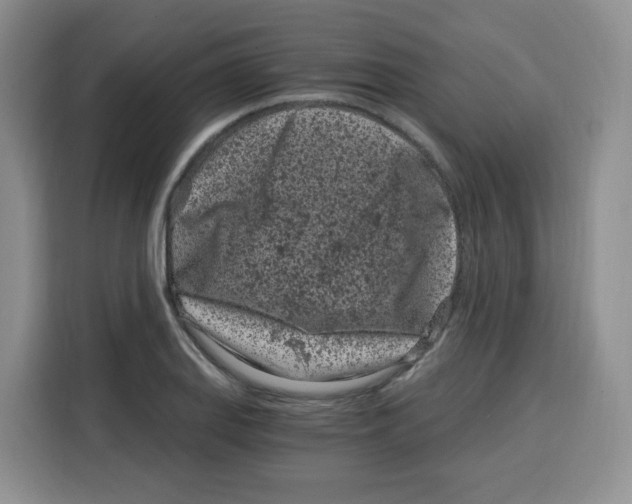 X0000115081127200911241137