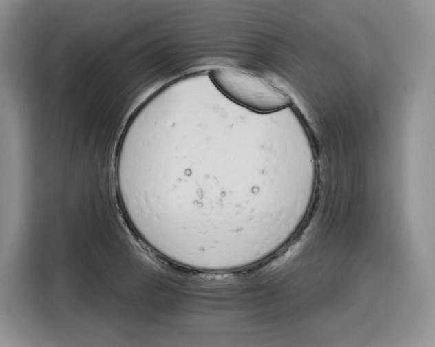 X0000115081129200911241137