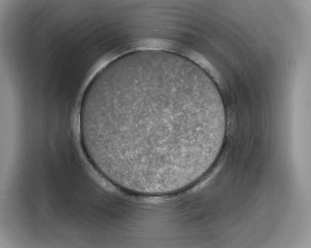 X0000115081130200911241137