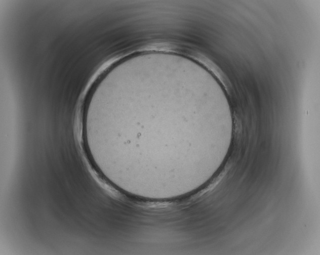 X0000115081131200911241137