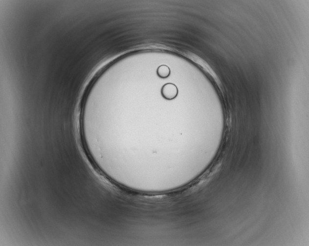 X0000115081133200911241137