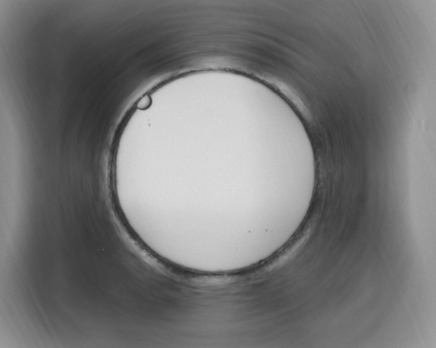 X0000115081134200911241137