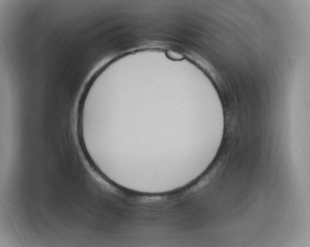 X0000115081135200911241137