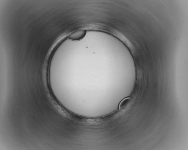 X0000115081138200911241137