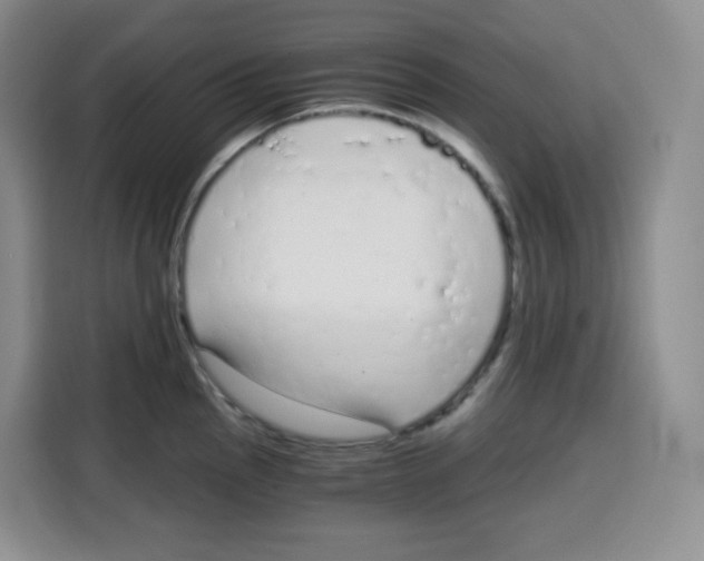 X0000115081145200911241137