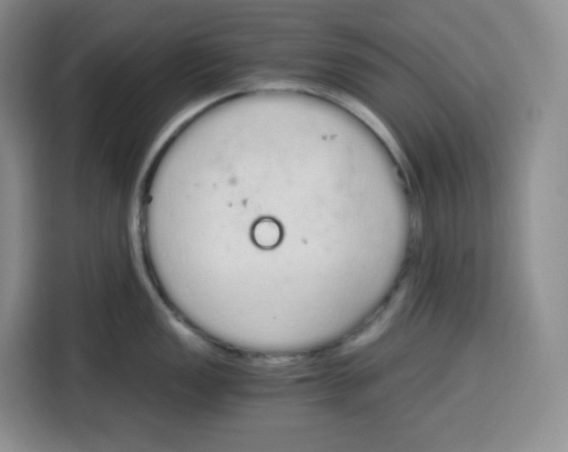 X0000115081149200911241137