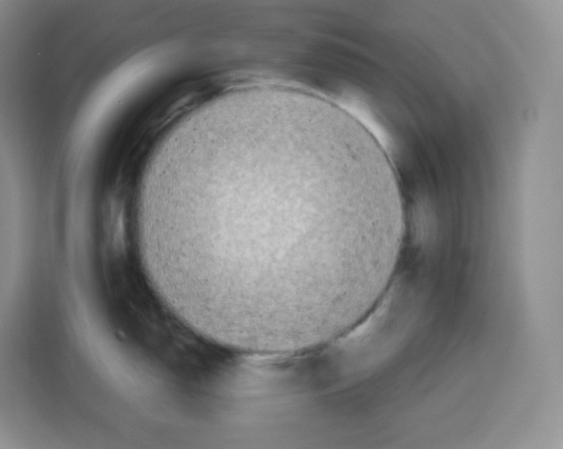 X0000115081150200911241137