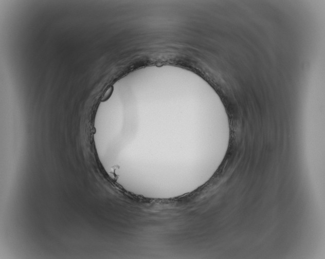 X0000115081153200911241136