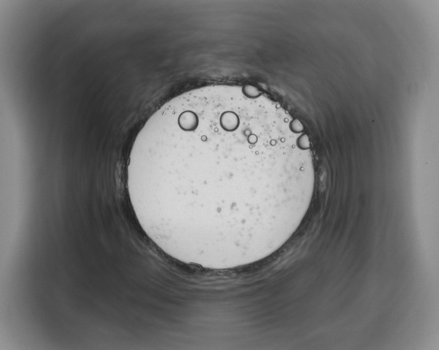 X0000115081156200911241136