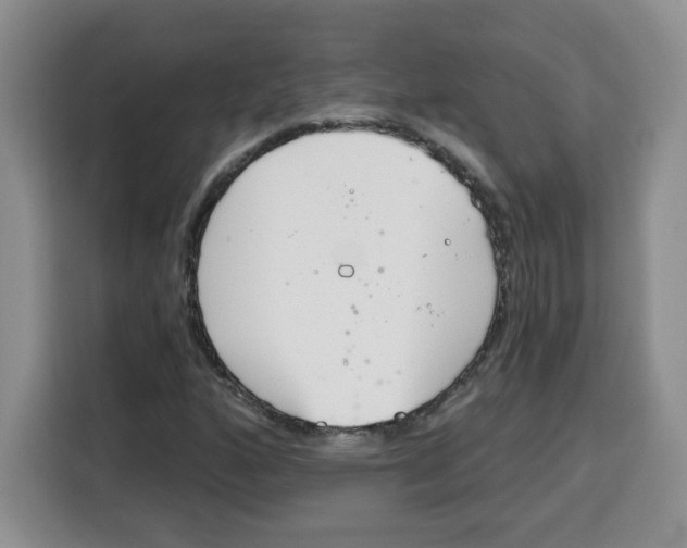 X0000115081160200911241136