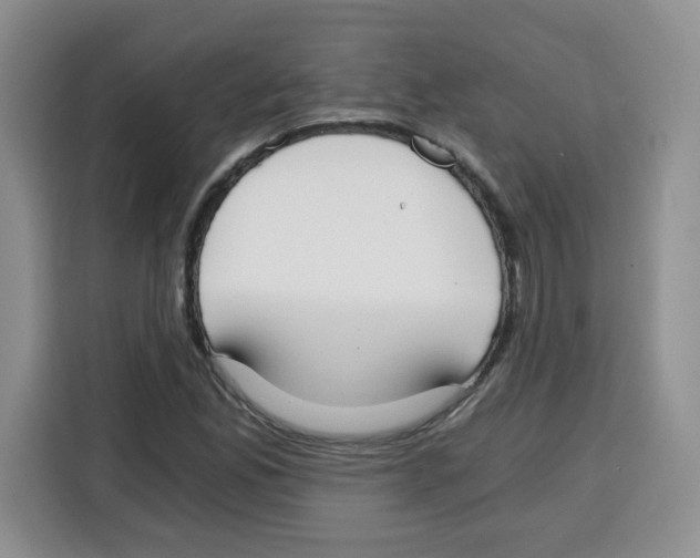 X0000115081165200911241136