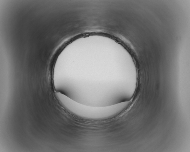 X0000115081167200911241136
