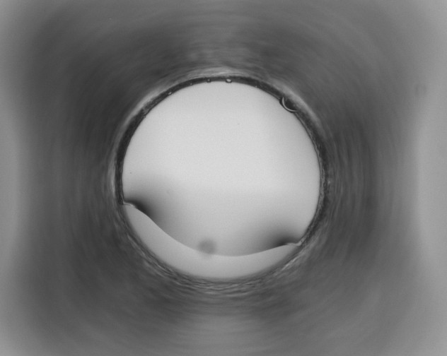 X0000115081173200911241136