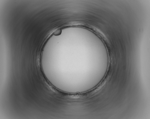 X0000115081177200911241136