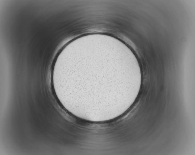 X0000115081179200911241136