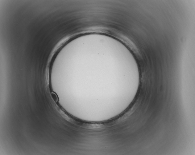 X0000115081180200911241136