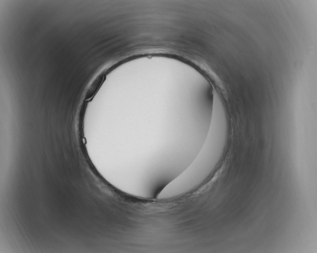 X0000115081181200911241136