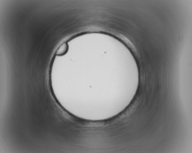 X0000115081183200911241136