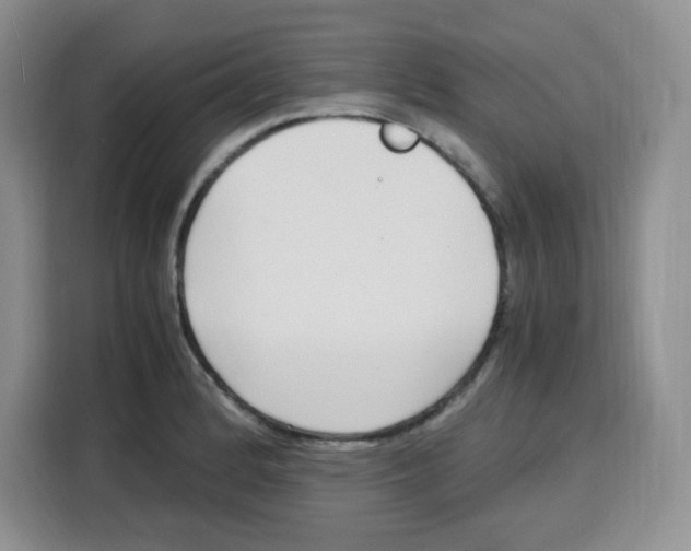 X0000115081184200911241136