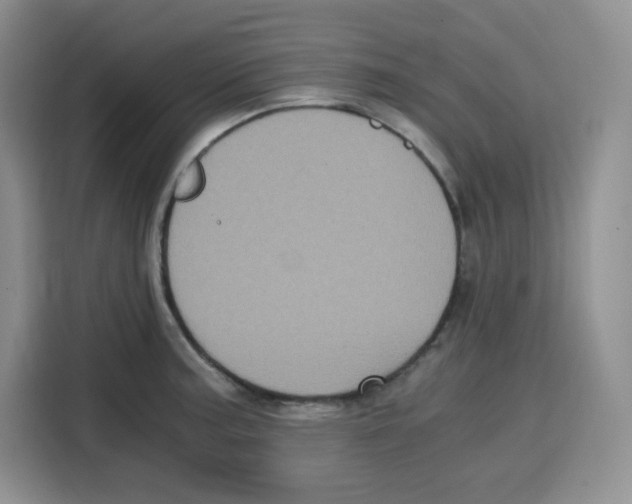 X0000115081187200911241136