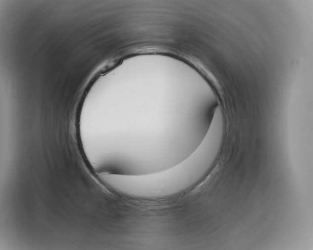 X0000115081189200911241136