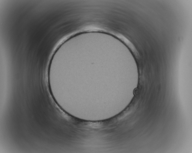 X0000115081191200911241136