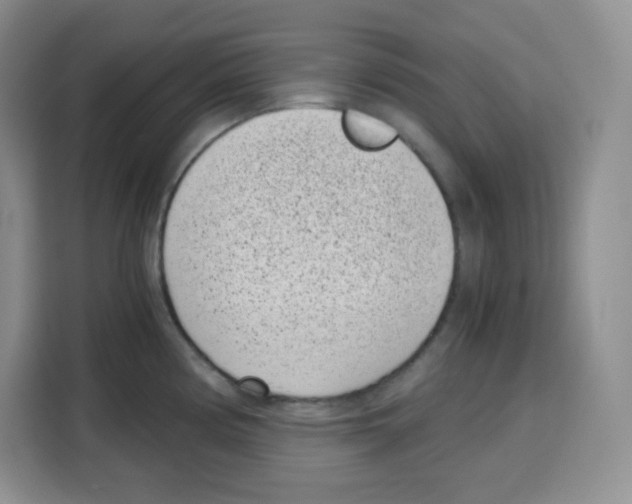 X0000115081194200911241136
