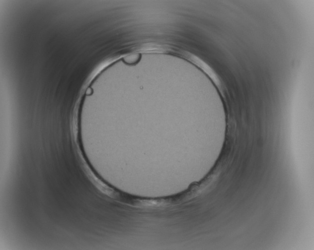 X0000115081195200911241136