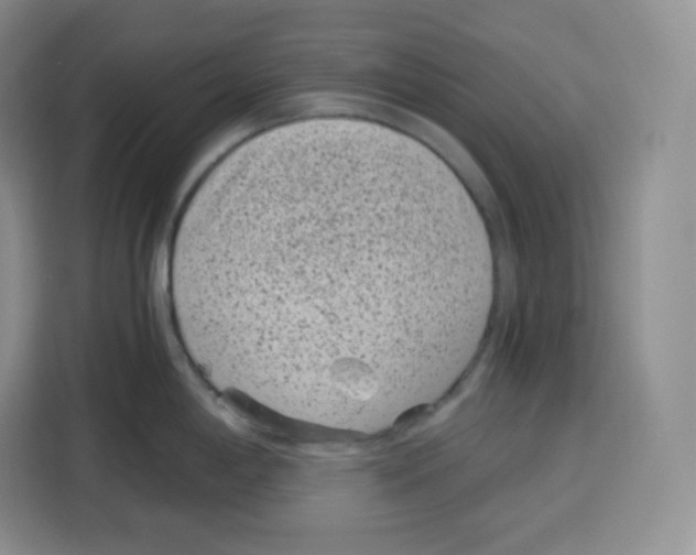 X0000115081198200911241136