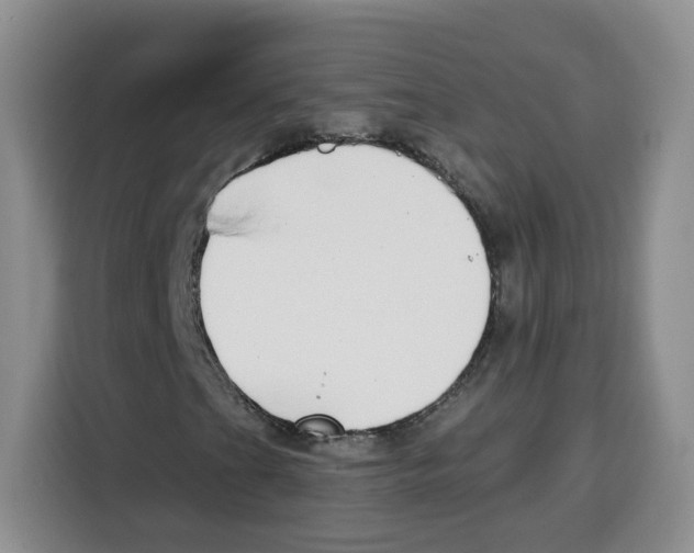 X0000115081201200911241135