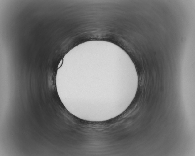 X0000115081202200911241135