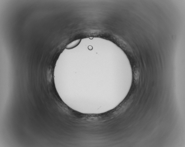 X0000115081204200911241135