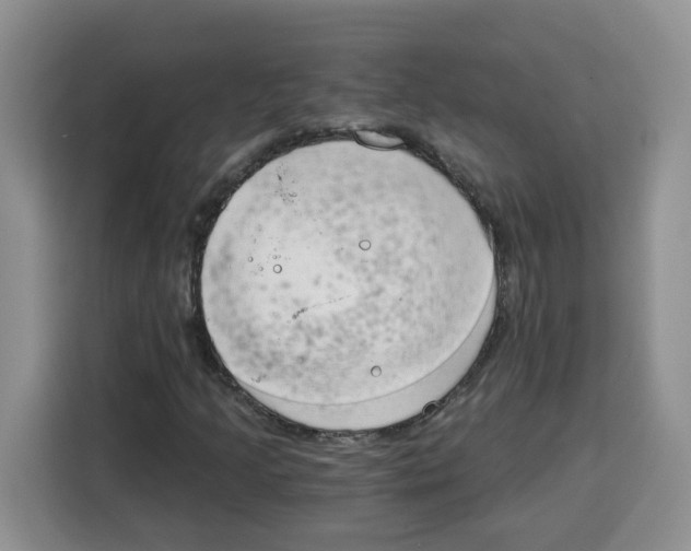 X0000115081205200911241135